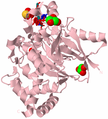 Image Biological Unit 3