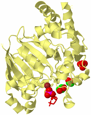 Image Biological Unit 4