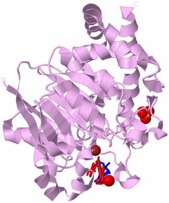 Image Biological Unit 5