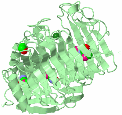 Image Biological Unit 2