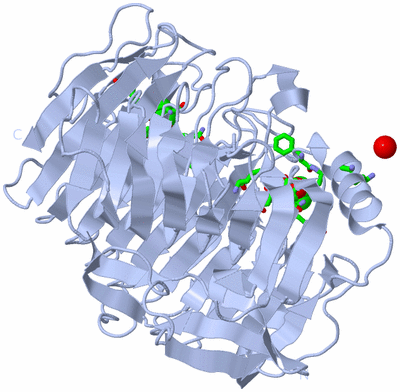 Image Biol. Unit 1 - sites