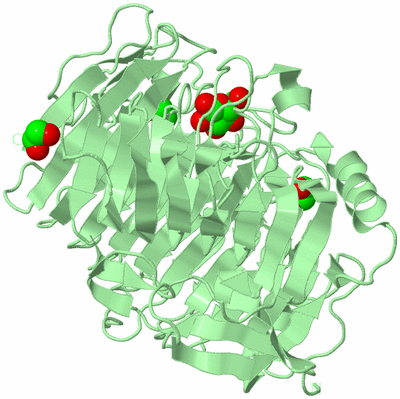 Image Biological Unit 2