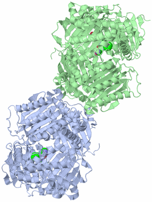 Image Asym./Biol. Unit