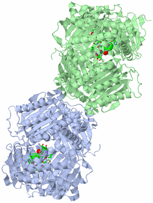 Image Asym./Biol. Unit - sites