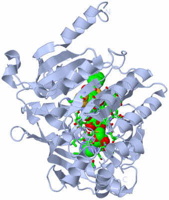 Image Biol. Unit 1 - sites