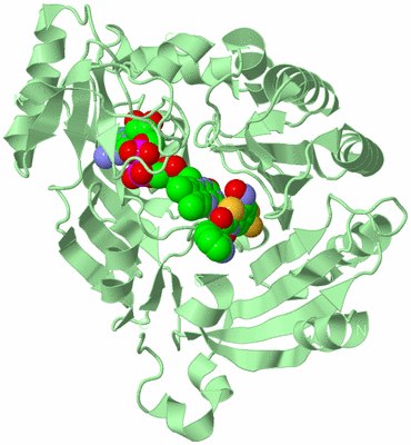 Image Biological Unit 2