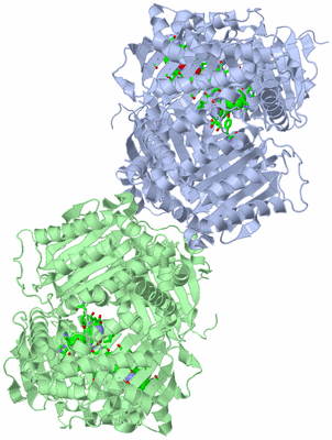 Image Asym./Biol. Unit - sites