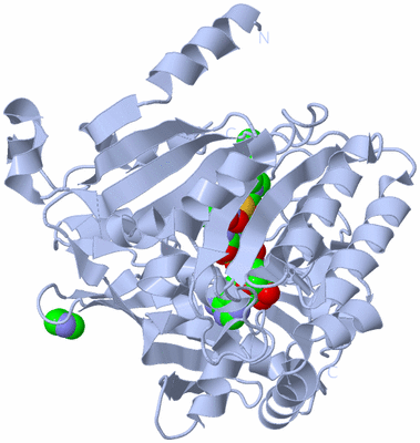 Image Biological Unit 1