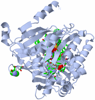 Image Biol. Unit 1 - sites