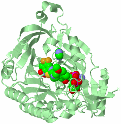 Image Biological Unit 2