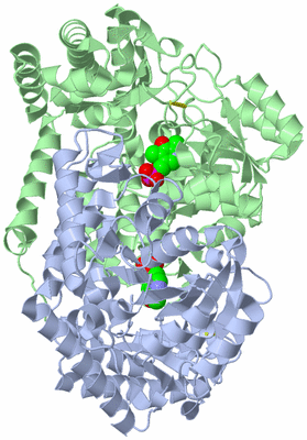 Image Biological Unit 1