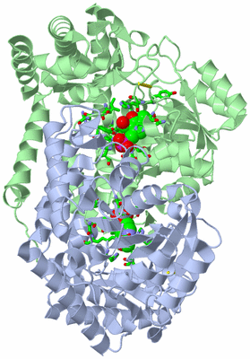 Image Biol. Unit 1 - sites