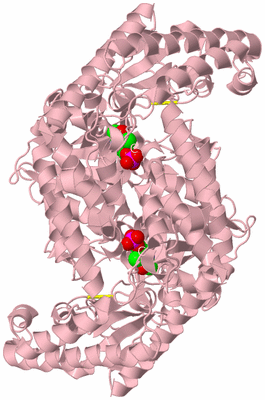 Image Biological Unit 2