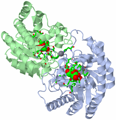 Image Asym./Biol. Unit - sites