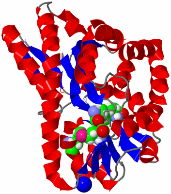 Image Asym./Biol. Unit