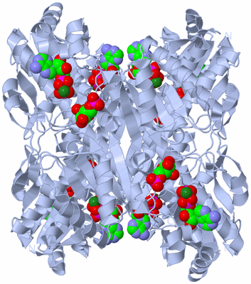 Image Biological Unit 1