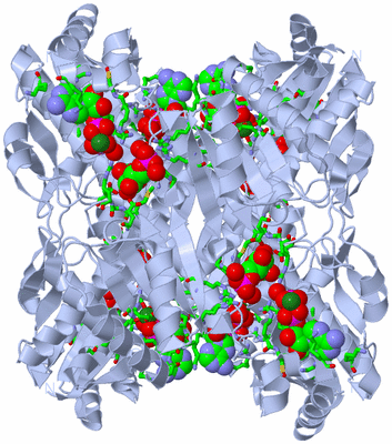 Image Biol. Unit 1 - sites