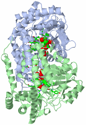 Image Biol. Unit 1 - sites