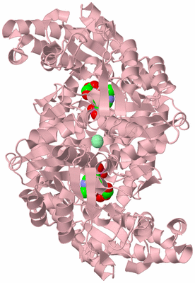 Image Biological Unit 2