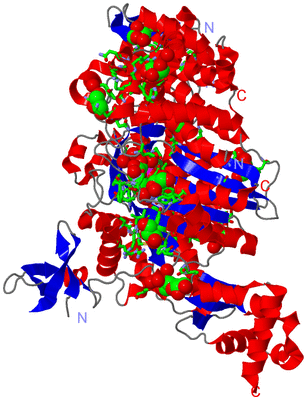 Image Asym./Biol. Unit - sites