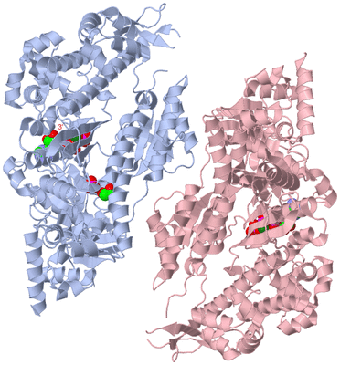 Image Asym./Biol. Unit