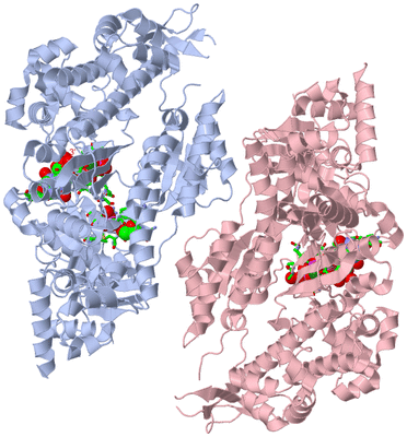 Image Asym./Biol. Unit - sites