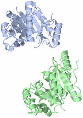 Image Asymmetric Unit