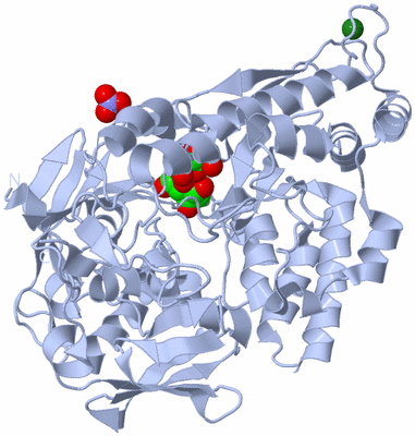 Image Biological Unit 1