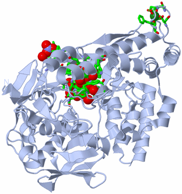 Image Biol. Unit 1 - sites