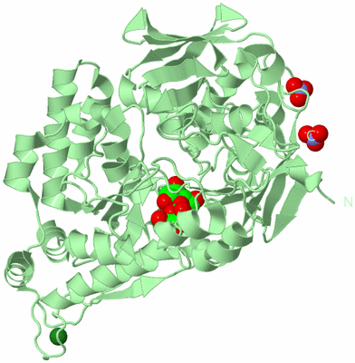 Image Biological Unit 2