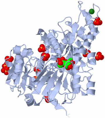 Image Biological Unit 1