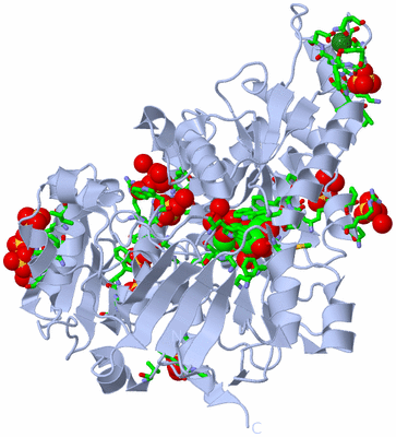 Image Biol. Unit 1 - sites