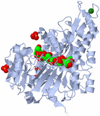 Image Biological Unit 1