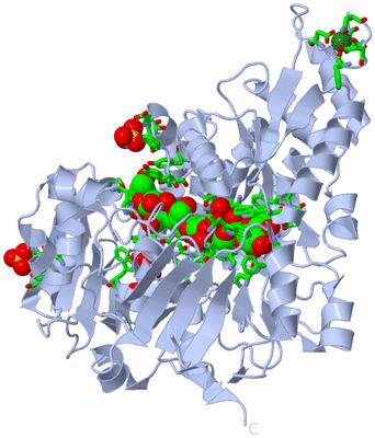 Image Biol. Unit 1 - sites