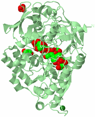 Image Biological Unit 2