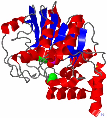 Image Asym./Biol. Unit