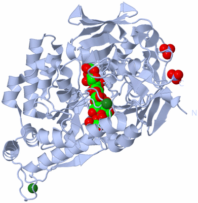 Image Biological Unit 1