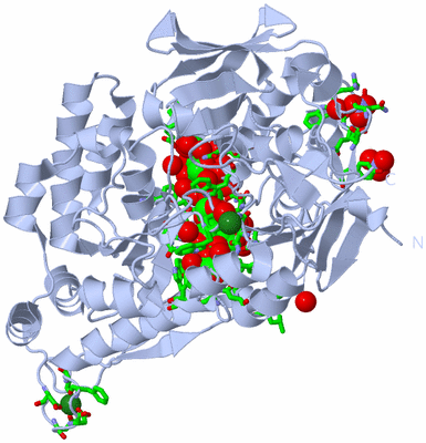 Image Biol. Unit 1 - sites