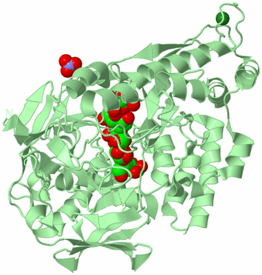 Image Biological Unit 2