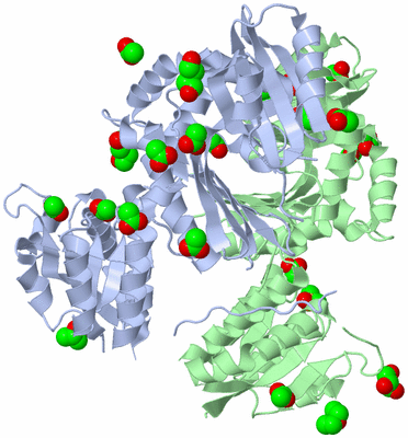 Image Asym./Biol. Unit