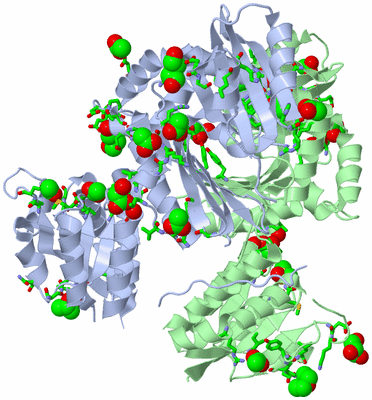 Image Asym./Biol. Unit - sites