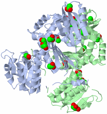 Image Asym./Biol. Unit