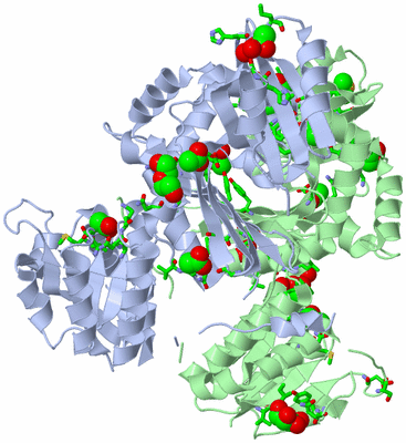 Image Asym./Biol. Unit - sites