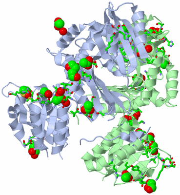 Image Asym./Biol. Unit - sites