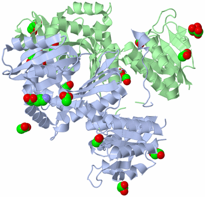 Image Asym./Biol. Unit