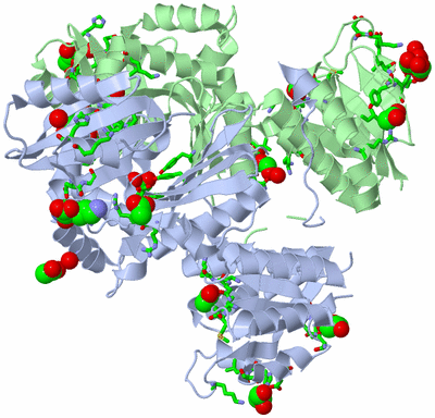 Image Asym./Biol. Unit - sites