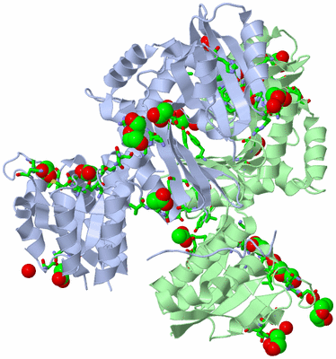 Image Asym./Biol. Unit - sites