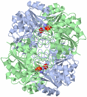 Image Biological Unit 1