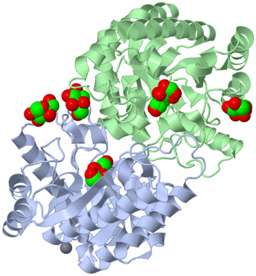 Image Biological Unit 1