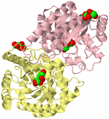 Image Biological Unit 2